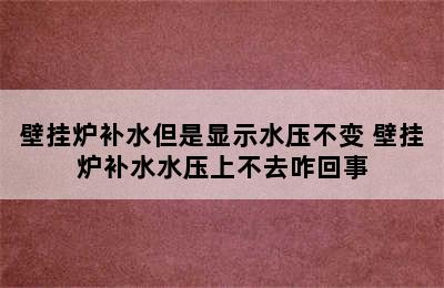 壁挂炉补水但是显示水压不变 壁挂炉补水水压上不去咋回事